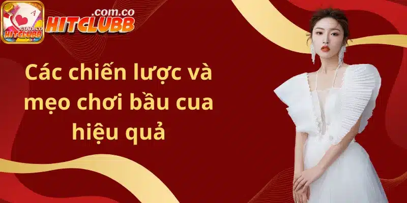 Các chiến lược và mẹo chơi bầu cua hiệu quả