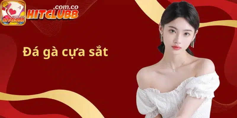 Đá gà cựa sắt