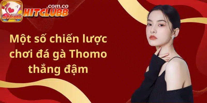Một số chiến lược chơi đá gà Thomo thắng đậm
