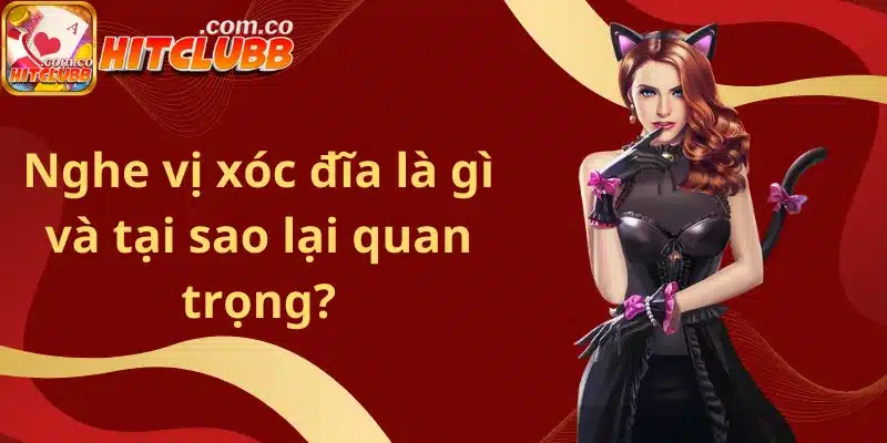 Nghe vị xóc đĩa là gì và tại sao lại quan trọng