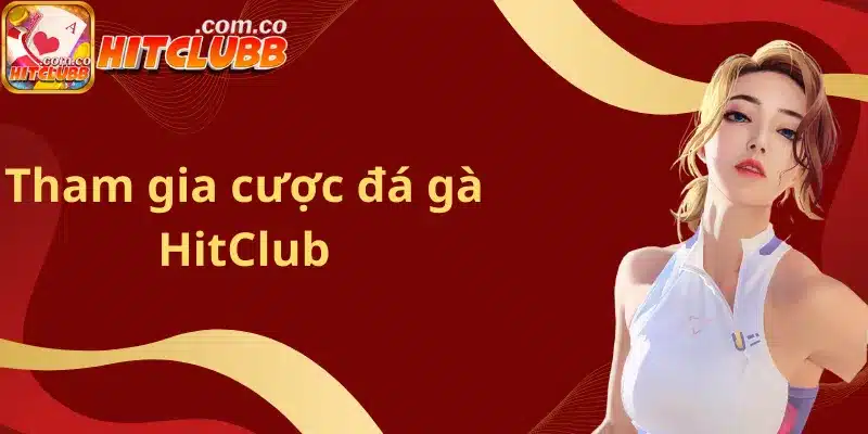 Tham gia cược đá gà HitClub